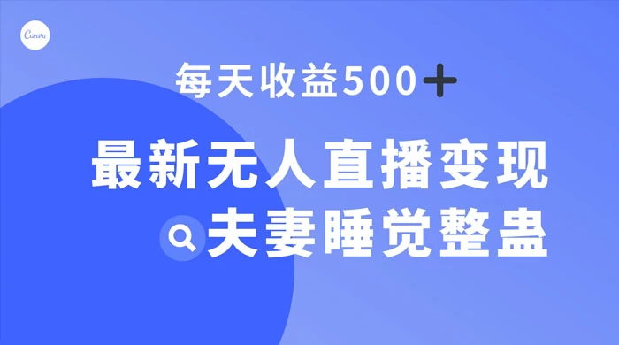最新无人直播变现,夫妻睡觉整蛊,每天躺赚 500+ - 阿泽资源网