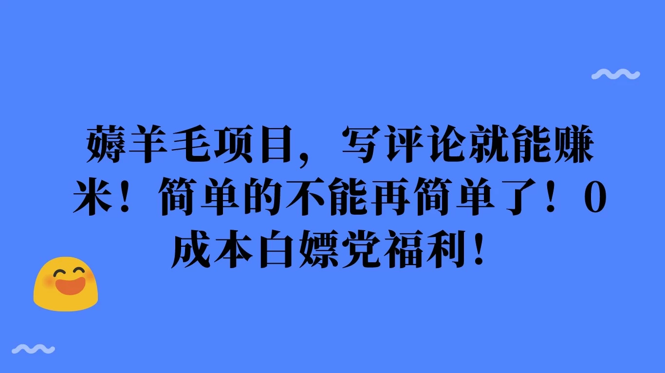 薅羊毛项目，写评论就能赚米！简单的不能再简单了！0成本白嫖党福利！ - 阿泽资源网