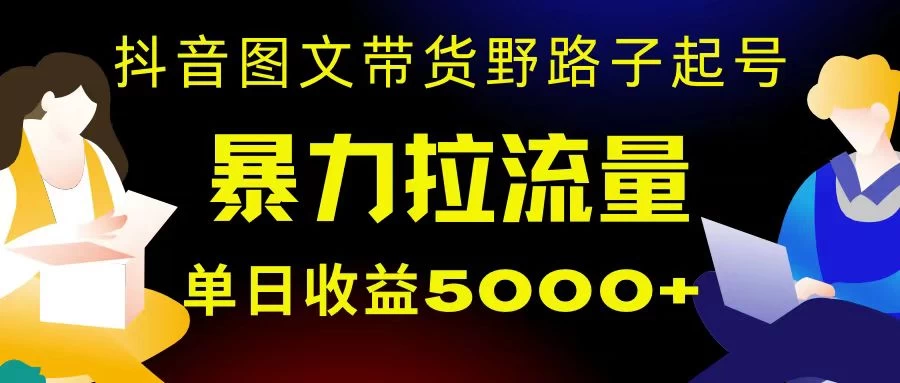 抖音图文带货暴力起号,单日收益 5000+,野路子玩法,简单易上手,一部手机即可 - 阿泽资源网