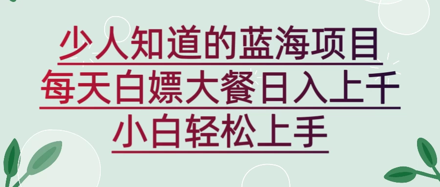 新蓝海长期项目，白嫖大餐日入上千，小白轻松上手 - 阿泽资源网