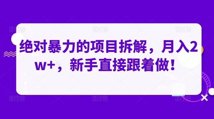绝对暴力的项目拆解，月入 2w+，新手直接跟着做【揭秘】 - 阿泽资源网