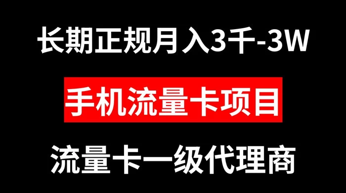 手机流量卡代理月入 3000-3w 长期正规项目 - 阿泽资源网
