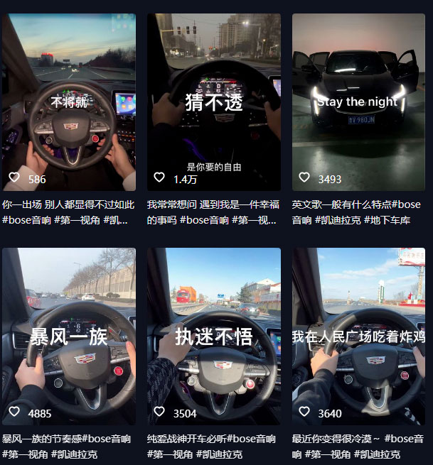 图片[2] - 抖音开车视频项目：0基础操作，每天五分钟，月入过万 - 阿泽资源网
