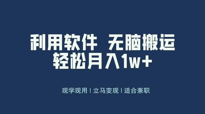 最新蓝海独家玩法，利用软件无脑搬运，小白轻松日入1000＋ - 阿泽资源网