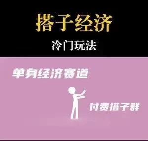 靠搭子经济月入5万每天两小时简单无脑好上手 - 阿泽资源网
