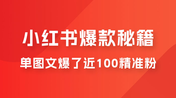 小红书单篇图文连爆秘籍，单图文爆了近 100 精准粉 - 阿泽资源网