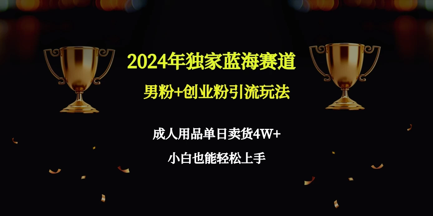 2024独家蓝海赛道,男粉+创业粉引流玩法。 - 阿泽资源网