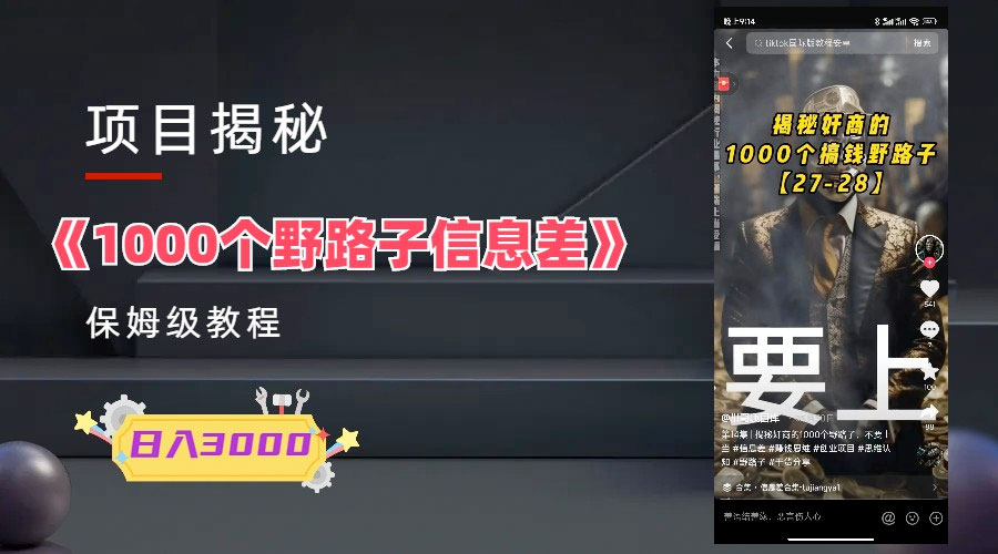 1000 个野路子信息差保姆式教程:单日变现 3000+ 的玩法解密 - 阿泽资源网